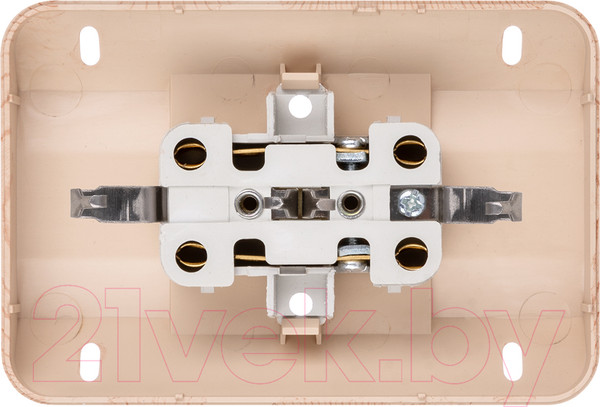 Изображение товара Розетка TDM Ладога SQ1801-0443 (сосна)