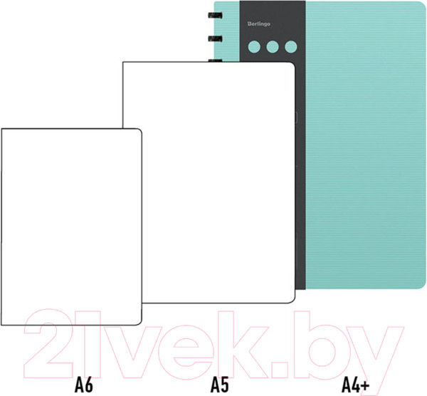 Изображение товара Блокнот Berlingo Instinct A4+ / RNt_A4102 (80л, клетка, мятный/черный)