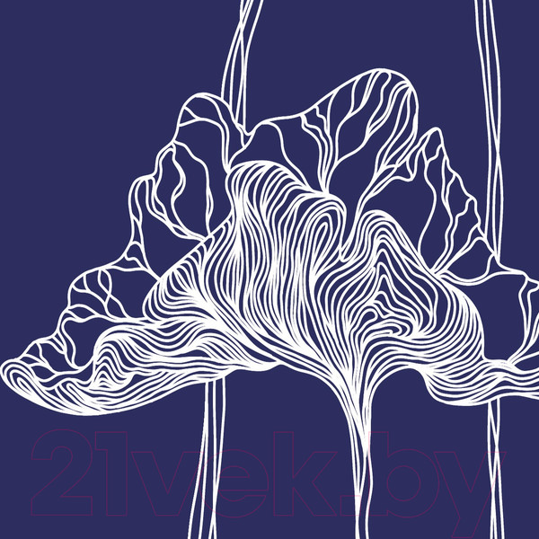 Изображение товара Фотообои листовые Citydecor Perfect Lines 5 (100х260)