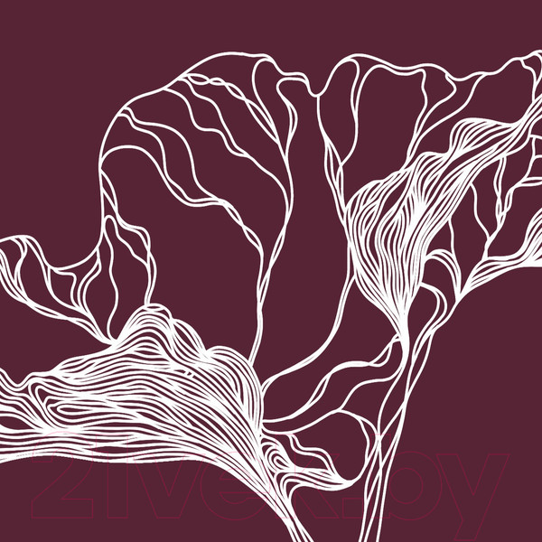 Изображение товара Фотообои листовые Citydecor Perfect Lines 7 (100х260)