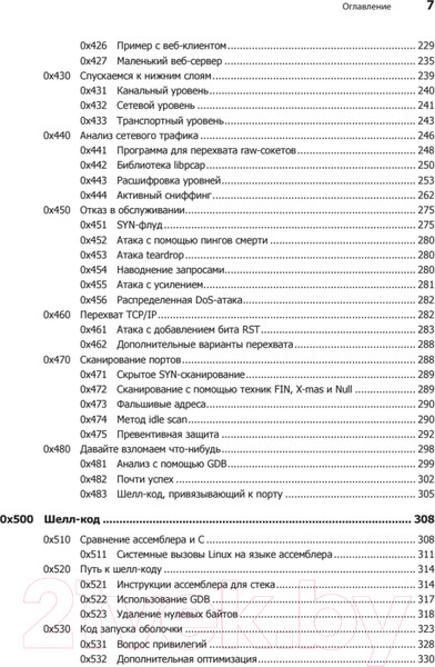 Изображение товара Книга Питер Хакинг: искусство эксплойта. 2-е издание (Эриксон Дж.)