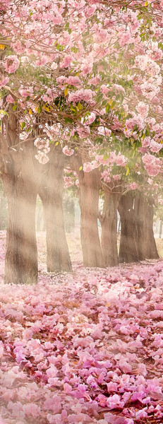 Изображение товара Фотообои листовые Citydecor Сказочная природа 5 (100x260)