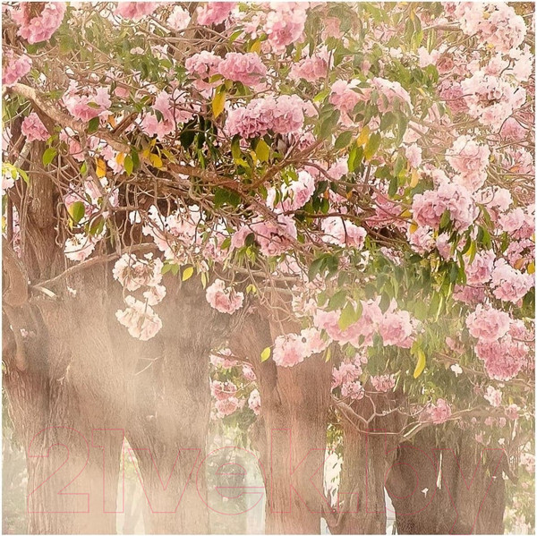 Изображение товара Фотообои листовые Citydecor Сказочная природа 5 (100x260)