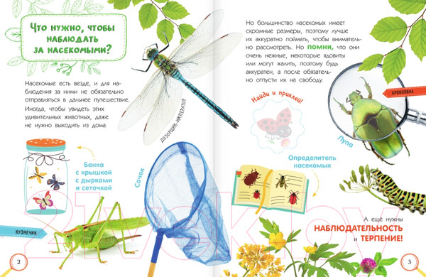 Изображение товара Энциклопедия АСТ Насекомые (Гомыранов И.А.)
