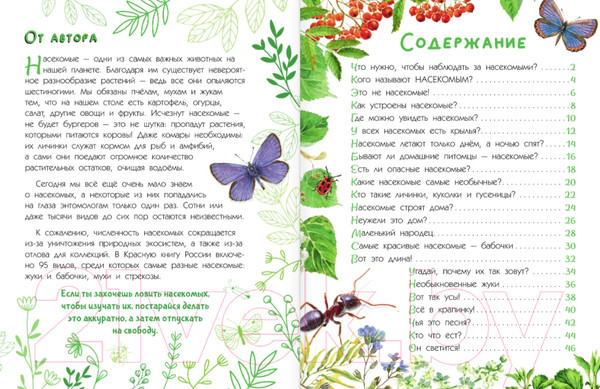 Изображение товара Энциклопедия АСТ Насекомые (Гомыранов И.А.)