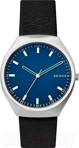 Изображение товара Часы наручные мужские Skagen SKW6385