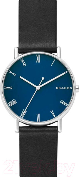 Изображение товара Часы наручные мужские Skagen SKW6434
