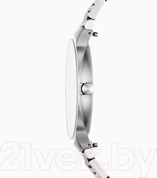 Изображение товара Часы наручные мужские Skagen SKW6515