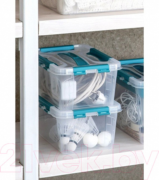 Изображение товара Органайзер для хранения Econova Grand Box / 433224102 (4.2л, голубой)