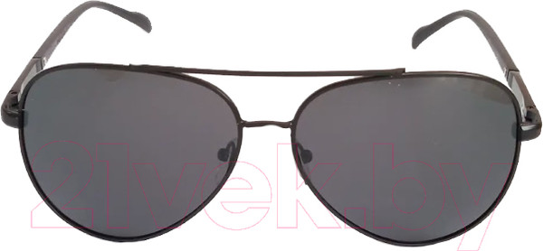 Изображение товара Очки солнцезащитные JBL Polarized 1928 (черный/черный)