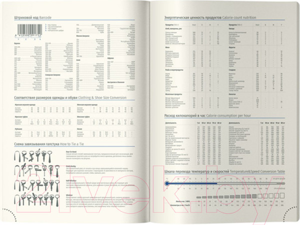 Изображение товара Ежедневник Berlingo Retro Future A5 / UD2_01S08 (136л)