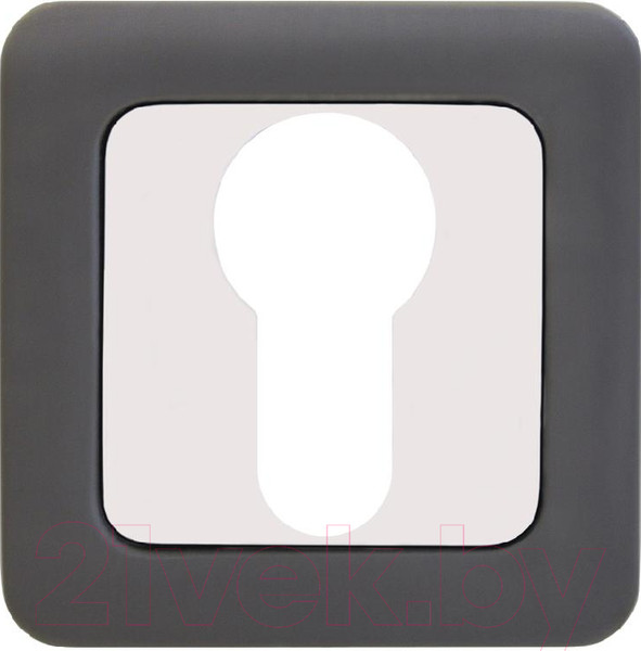 Изображение товара Накладка на цилиндр Аллюр АРТ ET-S1 MBN/CP (графит/хром)