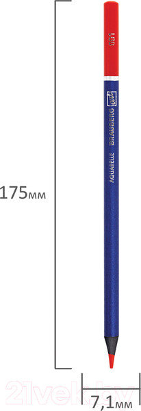 Изображение товара Набор акварельных карандашей Brauberg Art Premiere / 181533 (12цв)