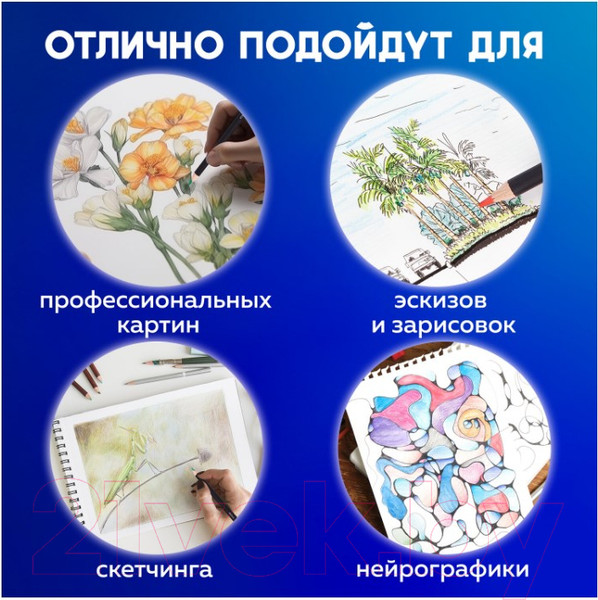 Изображение товара Набор цветных карандашей Brauberg Art Classic / 181539 (48цв)