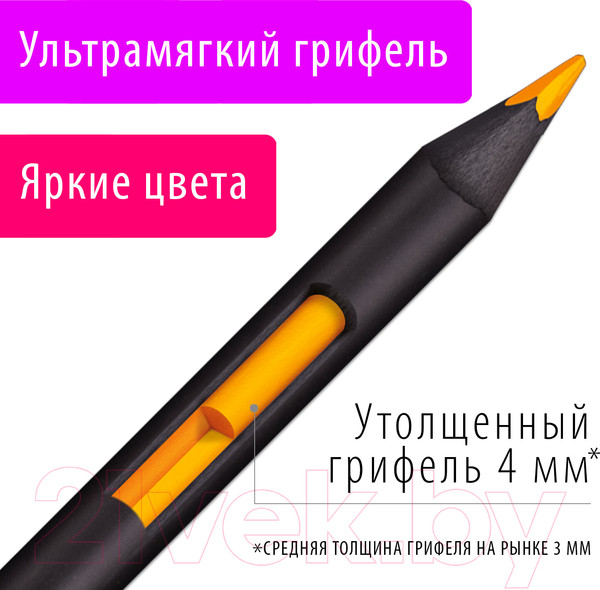 Изображение товара Набор цветных карандашей Brauberg Art Premiere / 181694 (48цв)