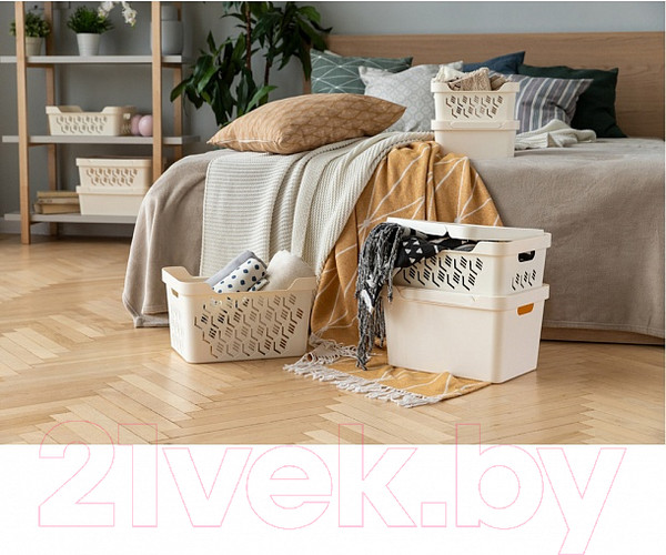 Изображение товара Контейнер для хранения Econova Luxe / 433205834 (cветло-бежевый)