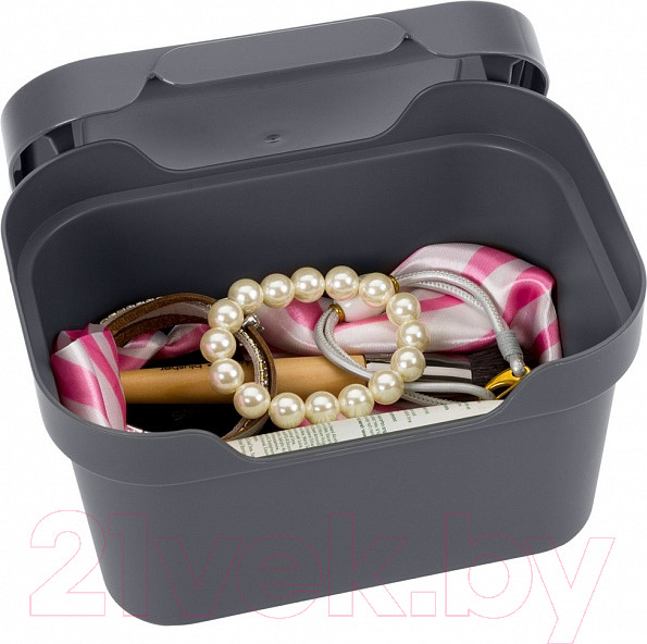 Изображение товара Контейнер для хранения Econova Luxe / 433233411 (серый)