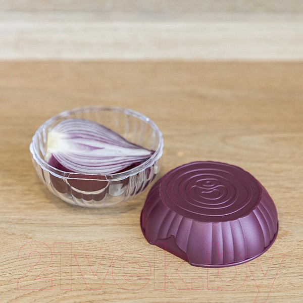 Изображение товара Контейнер Phibo 431288604 (красный)