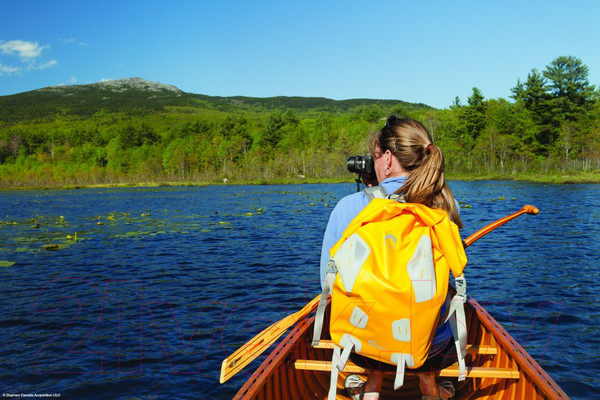 Изображение товара Сумка для камеры Lowepro DryZone Backpack 40L / LP36578-PRU