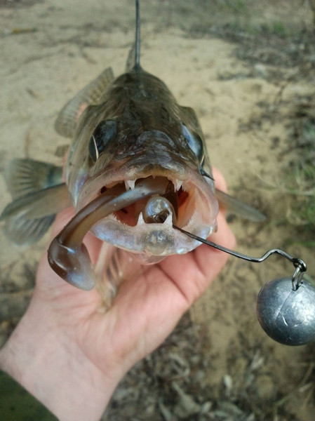 Изображение товара Мягкая приманка Lucky John Pro Series Minnow / 140142-T51 (10шт)