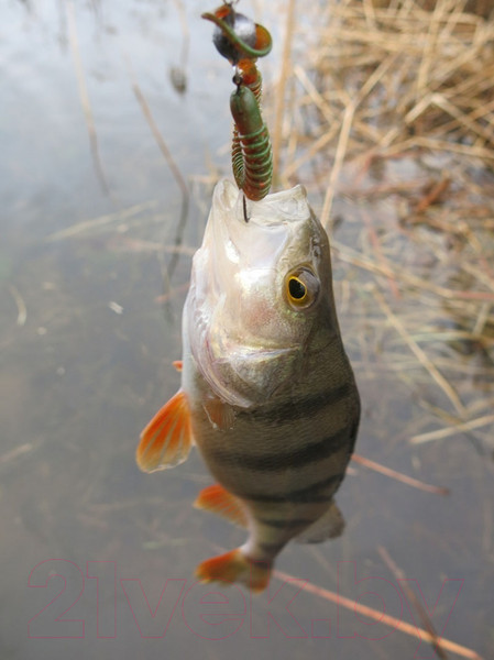 Изображение товара Мягкая приманка Lucky John Pro Series Ballist / 140129-CA35 (6шт)