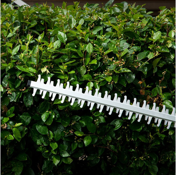 Изображение товара Кусторез аккумуляторный Denzel RBC510-36 / 59410