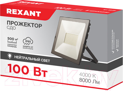 Изображение товара Прожектор Rexant 605-034