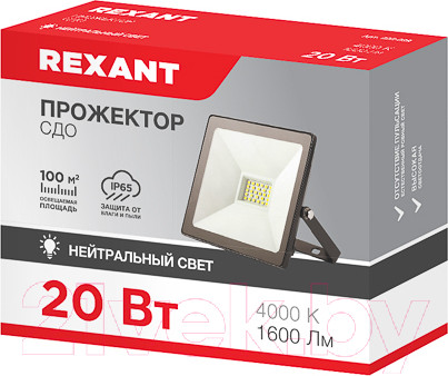 Изображение товара Прожектор Rexant 605-029