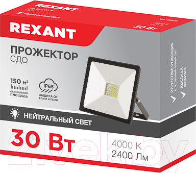 Изображение товара Прожектор Rexant 605-032