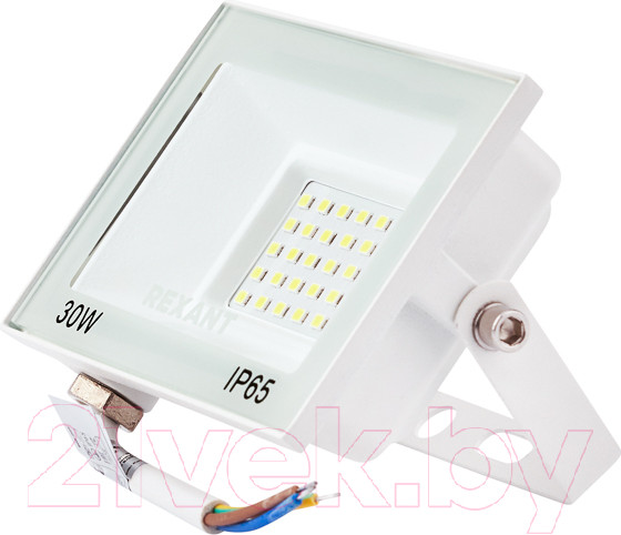 Изображение товара Прожектор Rexant 605-025