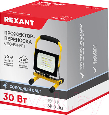 Изображение товара Прожектор Rexant 605-021