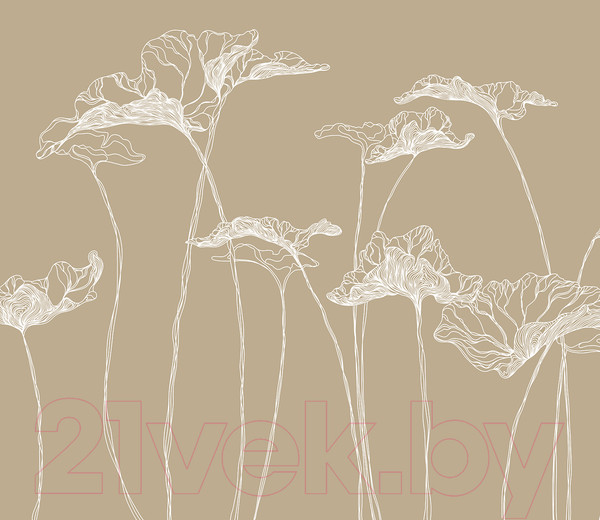 Изображение товара Фотообои листовые Citydecor Perfect Lines 3 (200x140)