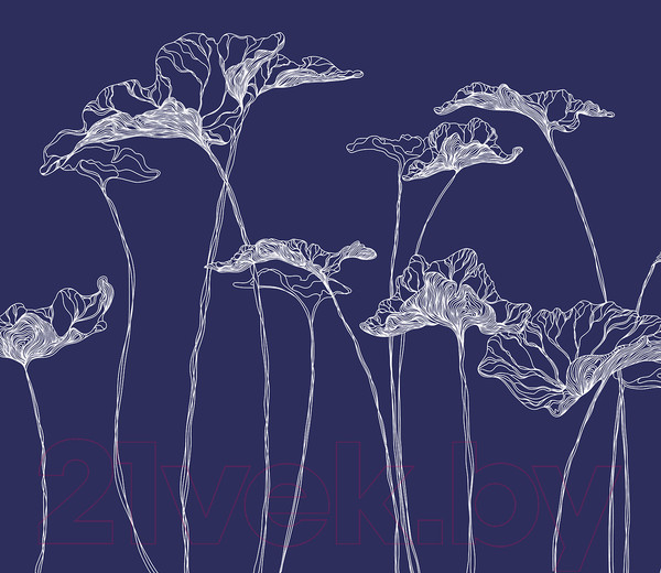 Изображение товара Фотообои листовые Citydecor Perfect Lines 5 (200x140)