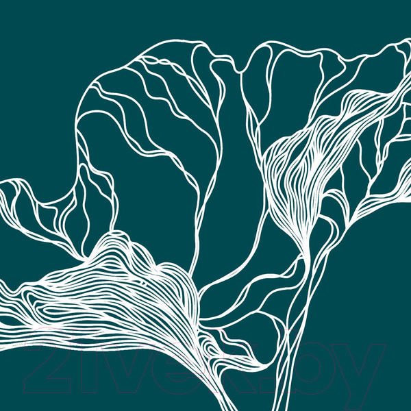 Изображение товара Фотообои листовые Citydecor Perfect Lines 6 (200x140)