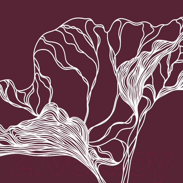 Изображение товара Фотообои листовые Citydecor Perfect Lines 7 (200x140)