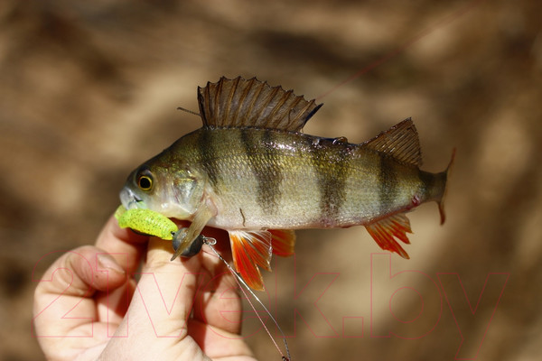 Изображение товара Мягкая приманка Lucky John Pro Series J.I.B. Tail / 140121-S15 (15шт)