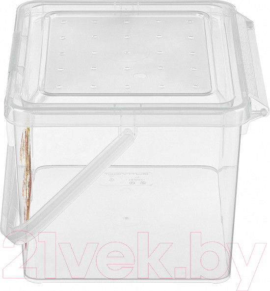 Изображение товара Контейнер Phibo 433212801 (бесцветный)