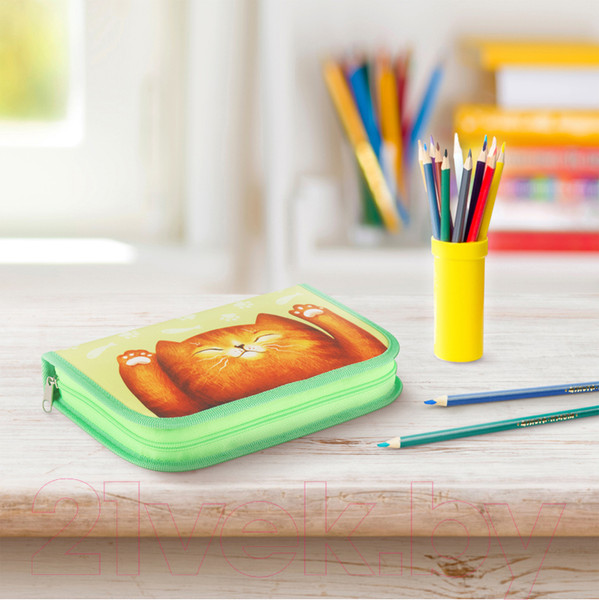 Изображение товара Пенал Мульти-пульти Lazy Cat / ПK1_44854