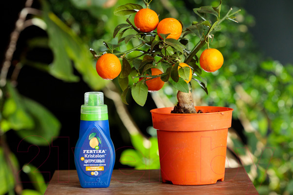 Изображение товара Удобрение Fertika Кристалон для цитрусовых (250мл)