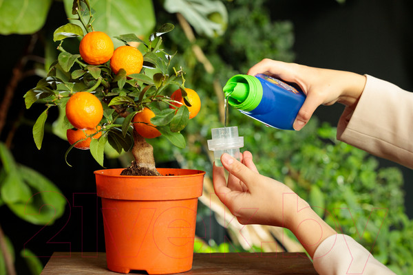 Изображение товара Удобрение Fertika Кристалон для цитрусовых (250мл)