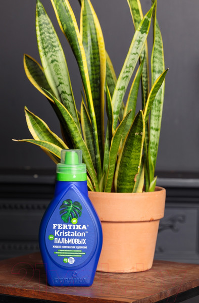 Изображение товара Удобрение Fertika Кристалон для пальмовых (250мл)