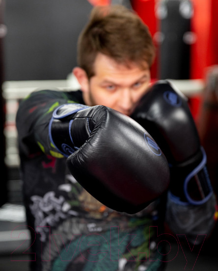 Изображение товара Боксерские перчатки BoyBo Rage (10oz, черный/синий)