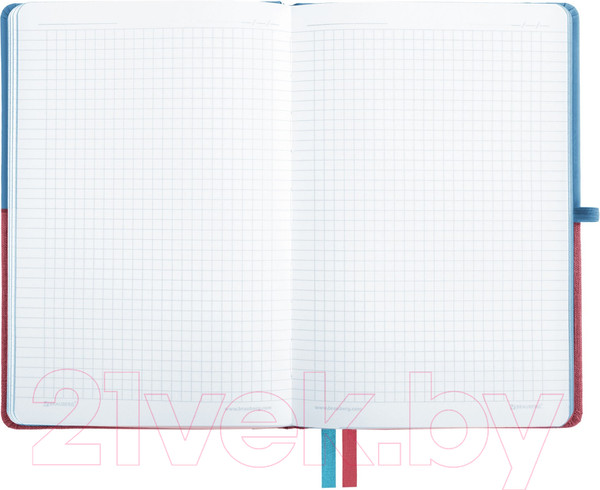 Изображение товара Записная книжка Brauberg Duo / 113432 (голубой/розовый)