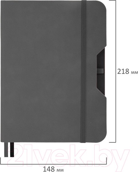 Изображение товара Записная книжка Brauberg Note / 113440 (серый)