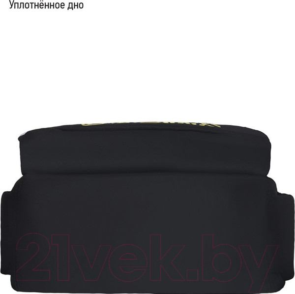 Изображение товара Школьный рюкзак Berlingo Angel Black / RU08017