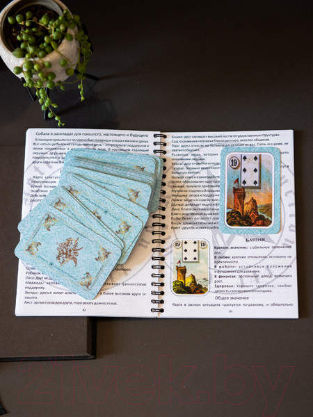 Изображение товара Гадальные карты Gothic Kotik Production Оракул Ленорман с большой книгой инструкцией (в подарочном боксе)