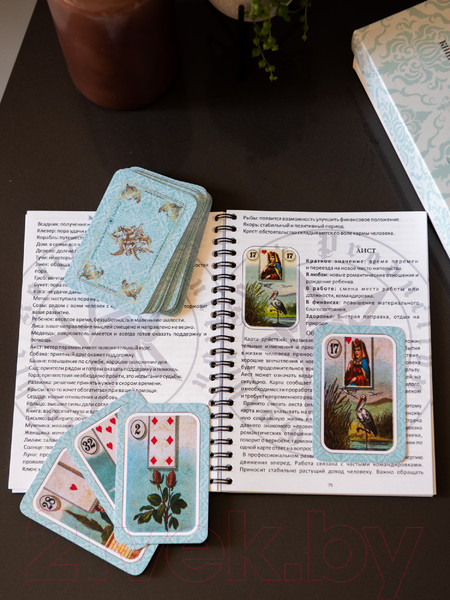 Изображение товара Гадальные карты Gothic Kotik Production Оракул Ленорман с большой книгой инструкцией (в подарочном боксе)