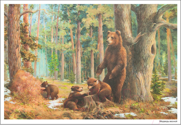 Изображение товара Наглядное пособие Мозаика-Синтез Картины из жизни диких животных. 3-7 лет / МС11906 (Николаева С.Н.)