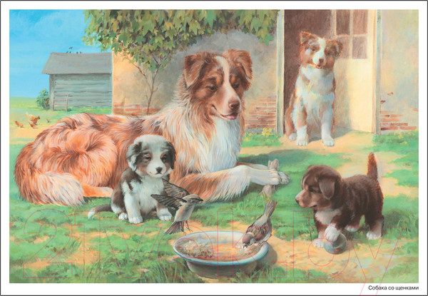 Изображение товара Наглядное пособие Мозаика-Синтез Картины из жизни домашних животных. 3-7 лет / МС11907 (Николаева С.Н.)