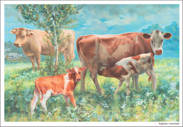 Изображение товара Наглядное пособие Мозаика-Синтез Картины из жизни домашних животных. 3-7 лет / МС11907 (Николаева С.Н.)